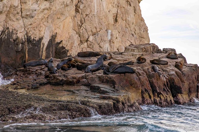 Dinner Cruise Tour in Cabo San Lucas With Tequila Tasting - Customer Reviews