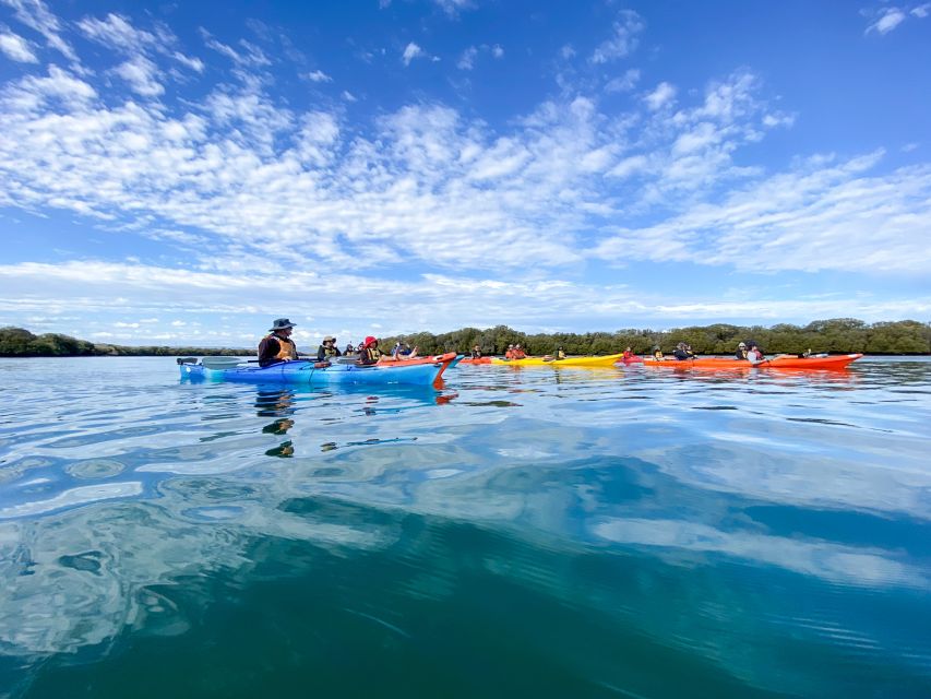 Dolphin Sanctuary and Ships Graveyard Kayak Tour - Last Words