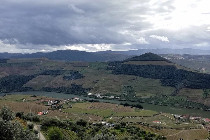 Douro Valley Private Full-Day Tour From Porto - Common questions