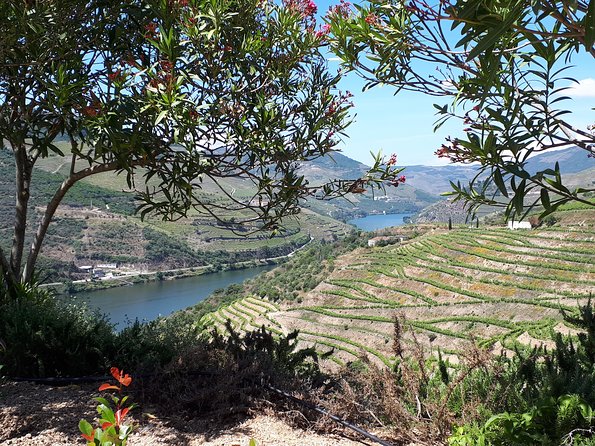 Douro Valley Tour (wine & Food) - Last Words