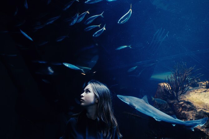 Dubai Aquarium and Underwater Zoo Ticket - Additional Information and Restrictions