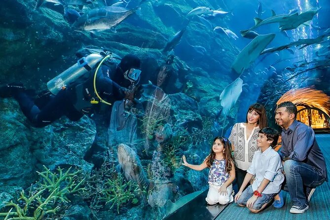 Dubai Aquarium and Underwater Zoo With Penguin - Support Services and Inquiries
