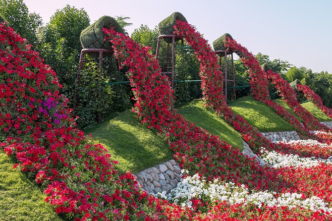 Dubai Miracle Garden Ticket With Transfer - Common questions