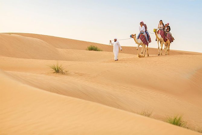 Dubai Red Dunes Morning Safari With Camel Ride - Camel Ride Experience
