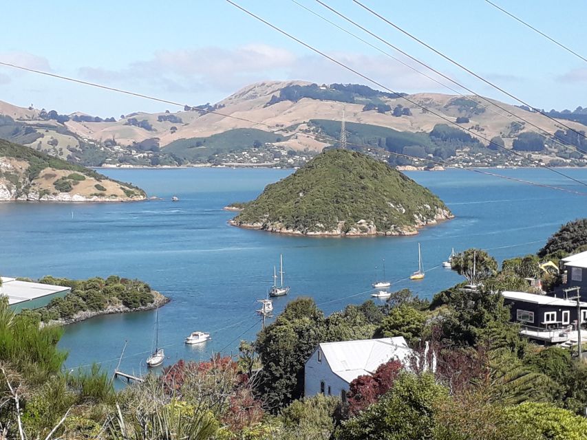 Dunedin: City Highlights and Otago Peninsula Scenery - Last Words