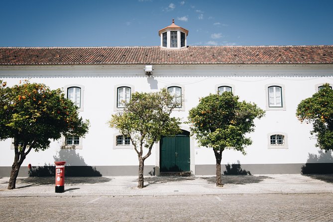 Faro Walking Tour: Uncover the City's Architectural Legacy - Last Words
