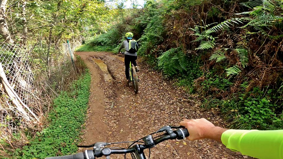 Firgas: Gran Canaria Forest Mountain Bike Tour - Meeting Point