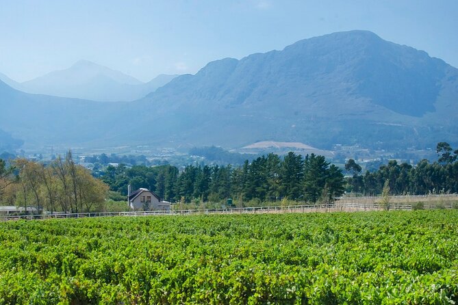 Franschhoek Winelands Luxury EBike Tour - Cancellation Policy