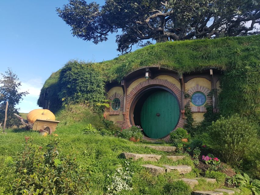 From Auckland: Hobbiton & Rotorua Tour With Lunch at Te Puia - Final Thoughts