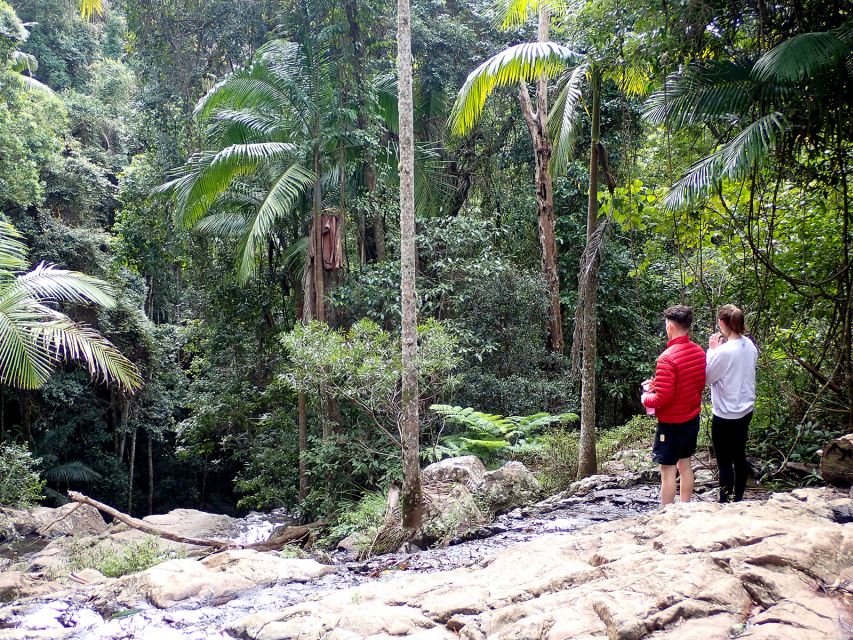 From Brisbane: Maiala Rainforest Private Tour - Pickup Vehicle