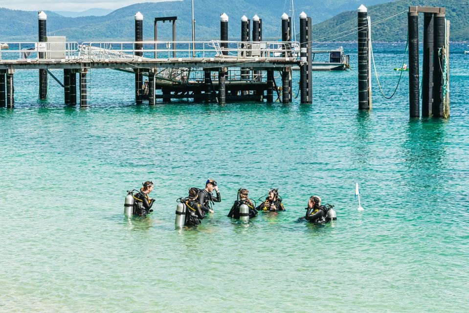 From Cairns: Fitzroy Island Full-Day Adventure Tour - Hiking and Rainforest Exploration