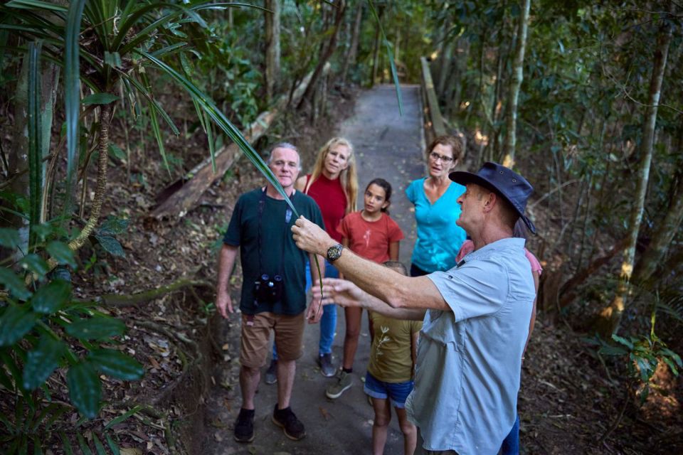 From Cairns: Rainforest & Nocturnal Wildlife Tour - Last Words