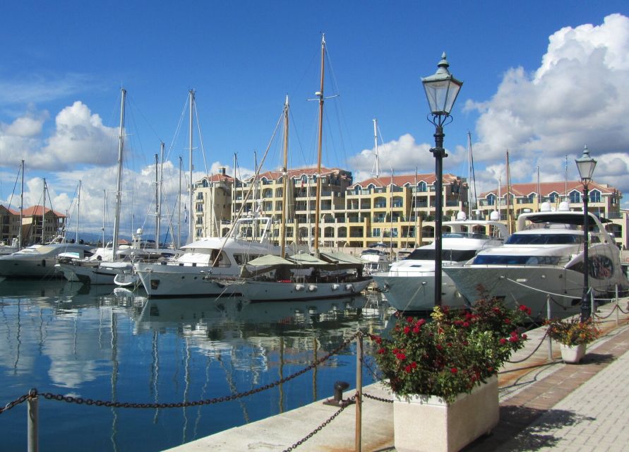 From Costa Del Sol: Gibraltar Dolphin Watching by Boat - Common questions