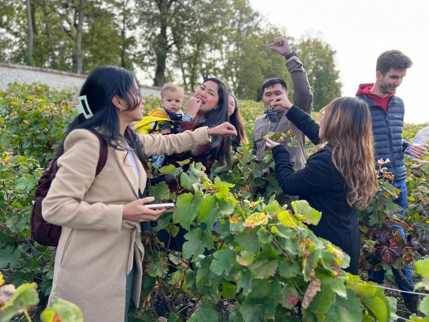 From Epernay: Afternoon Champagne Tour With 6 Tastings - Last Words