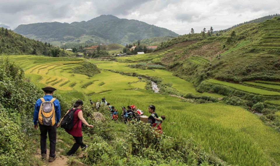 From Hanoi: 2D1N Sapa Trekking by VIP Sleeper Bus - Free Time Recommendations and Market Visit