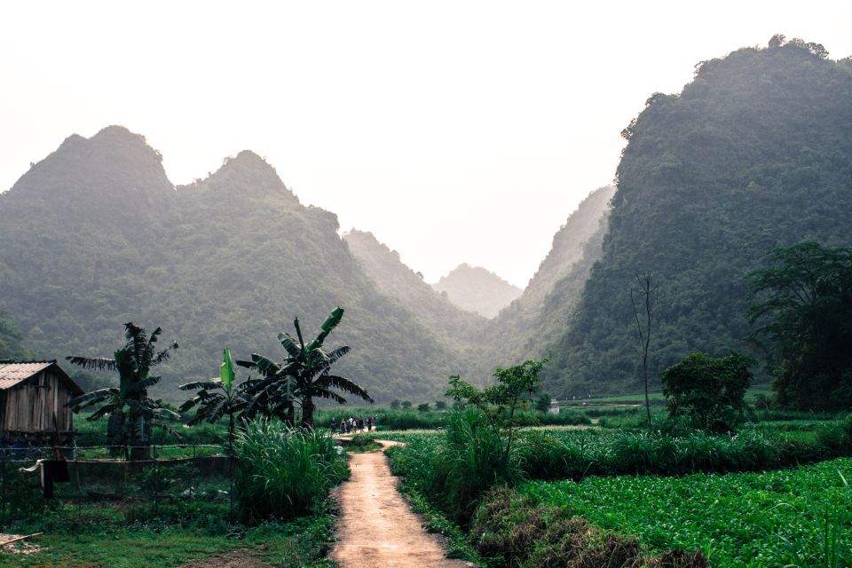 From Hanoi: 4-Day Panorama Of Ha Giang Loop Private Tour - Common questions