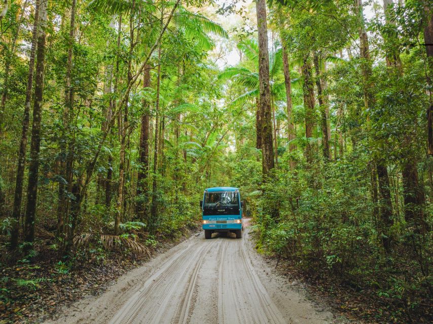 From Hervey Bay: Kgari, Fraser Island Full-Day Coach Tour - Last Words