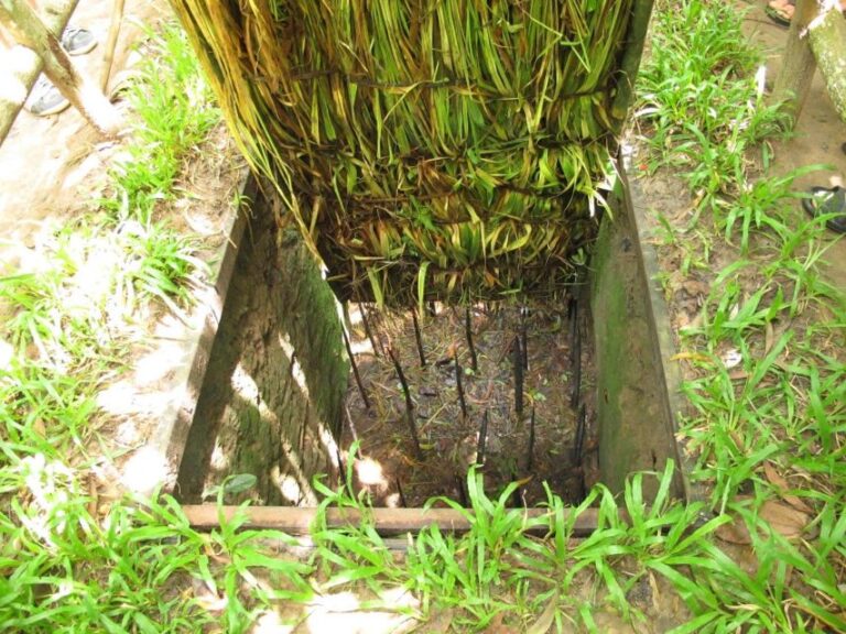 From Ho Chi Minh: Cu Chi Tunnels & Cao Dai Temple