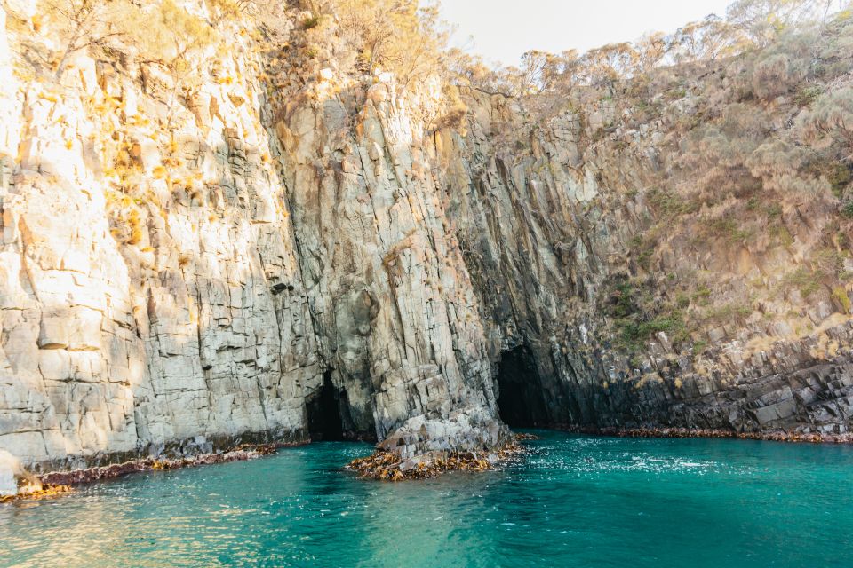 From Hobart/Adventure Bay: Bruny Island Wilderness Cruise - Language and Recommendations