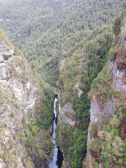 From Hobart: Gordon Dam and Lake Pedder Wilderness Day Tour - Booking Details