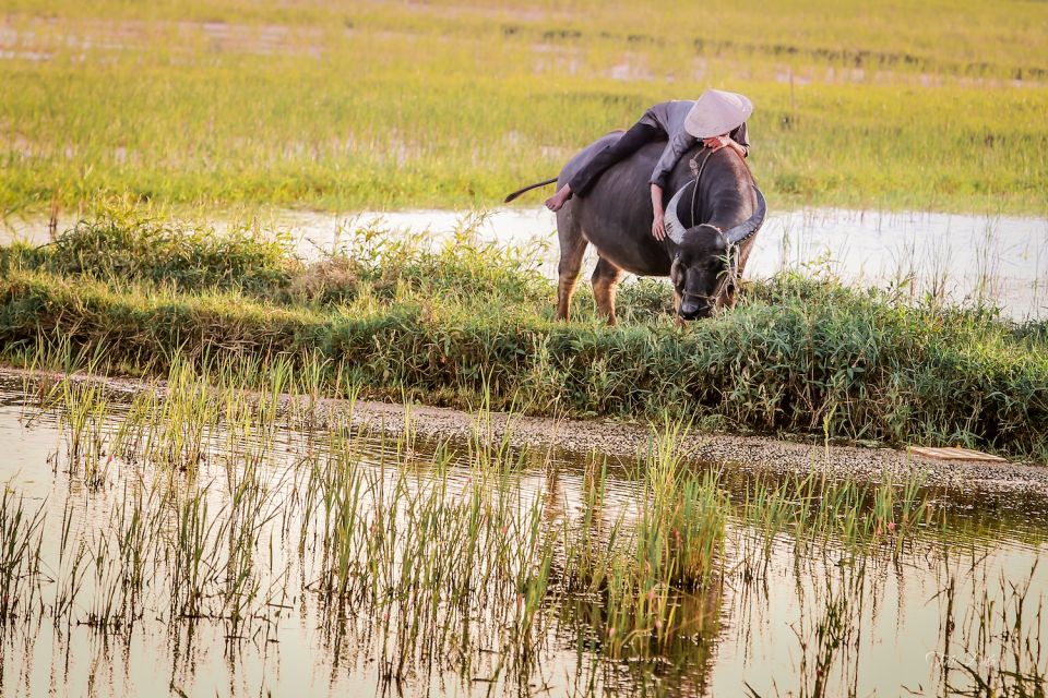 From Hoi An: Half-Day Tra Que Vegetable Village Bike Tour - Last Words