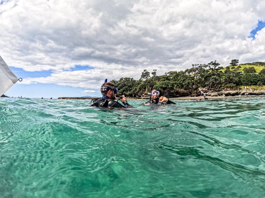From Leigh: Goat Island Try Scuba Diving Experience - Common questions