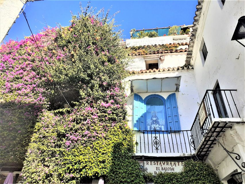 From Malaga: Private Tour in Marbella - Insider Insights and Free Time