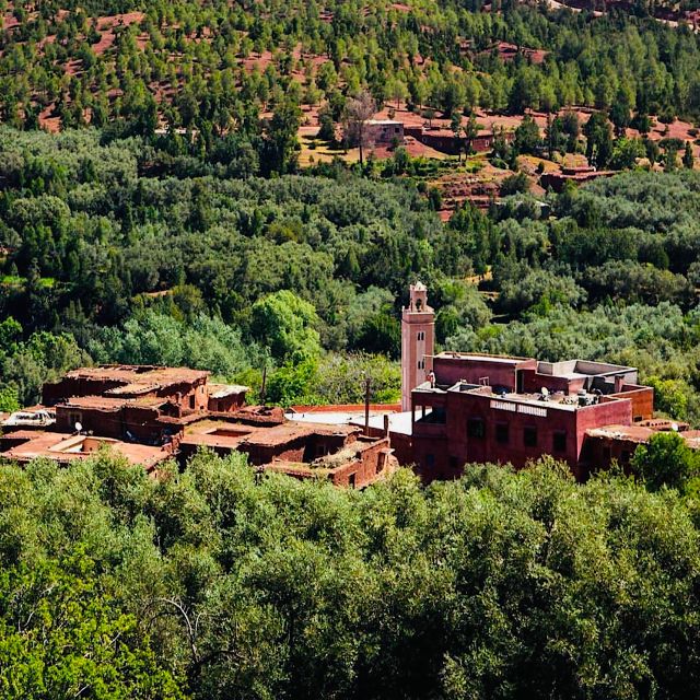 From Marrakech: Ouirgane Day Trip With Traditional Lunch - Traditional Berber Lunch & Local Visit