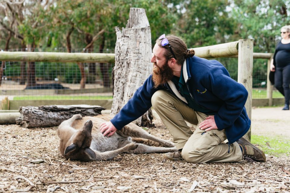 From Melbourne: Phillip Island Eco Wildlife Tour - Last Words