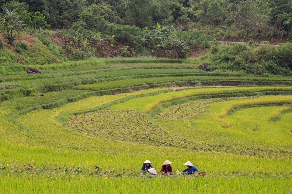 From Ninh Binh : Pu Luong 2 Days 1 Night Drop off Ha Noi - Directions and How to Book