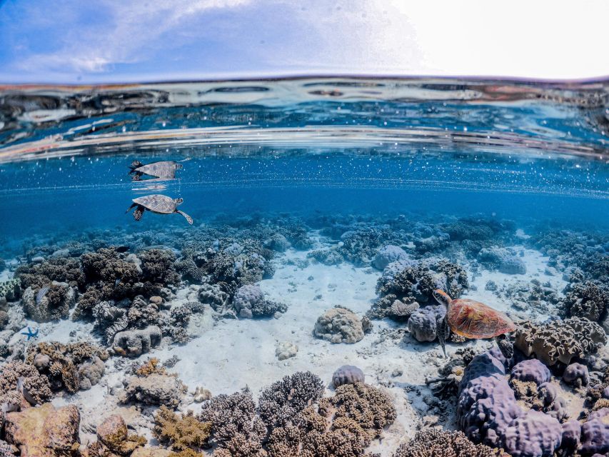 From Port Douglas: Outer Reef Cruise by Luxury Catamaran - Eco-Friendly Practices