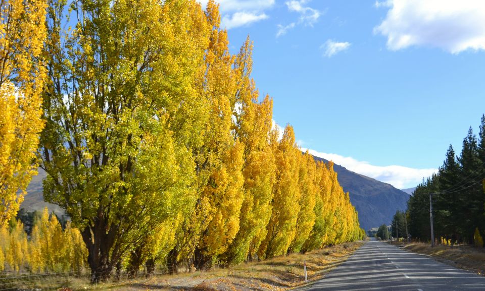 From Queenstown: Gold Panning Day-Trip With Morning Tea - Last Words
