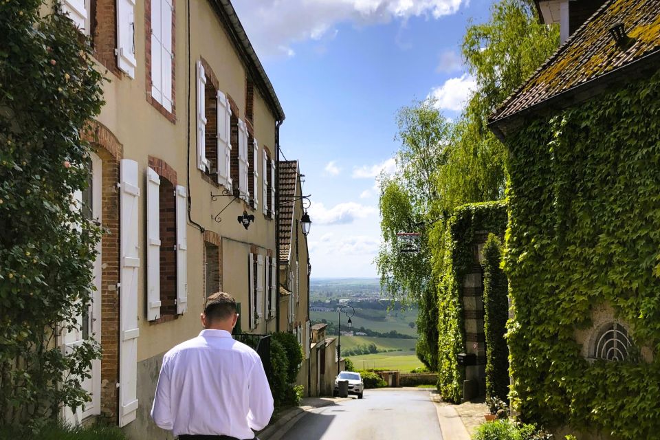 From Reims: Champagne and Family-Run Wineries Tour - Last Words