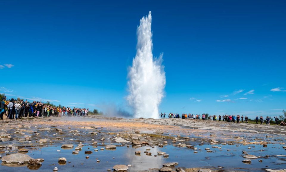 From Reykjavik: Full Day Whale Watching & Golden Circle Tour - Key Points