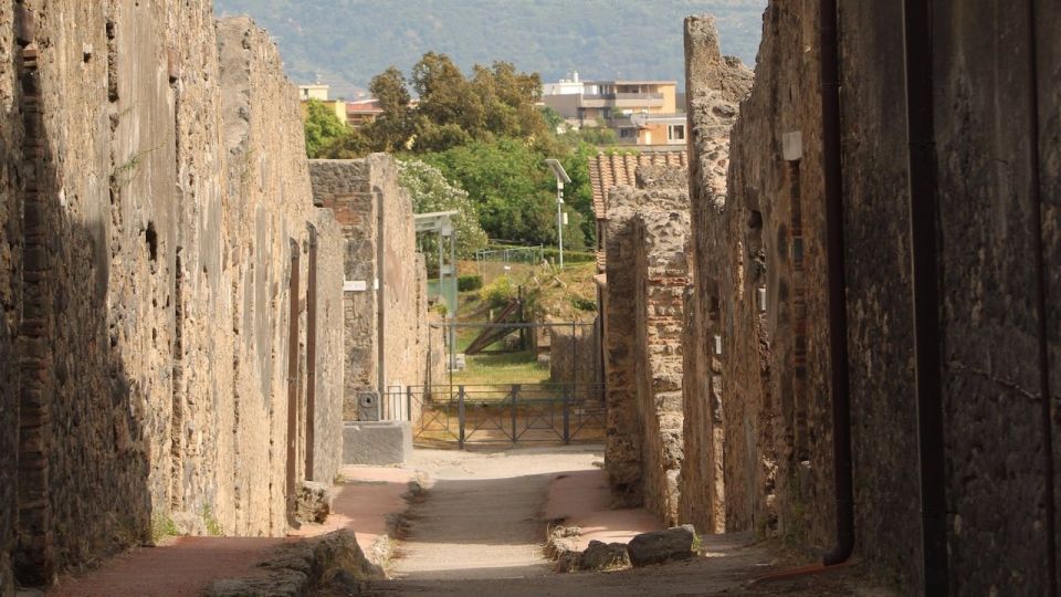 From Rome: Pompeii, Naples and Capri Full-Day Tour - Important Considerations