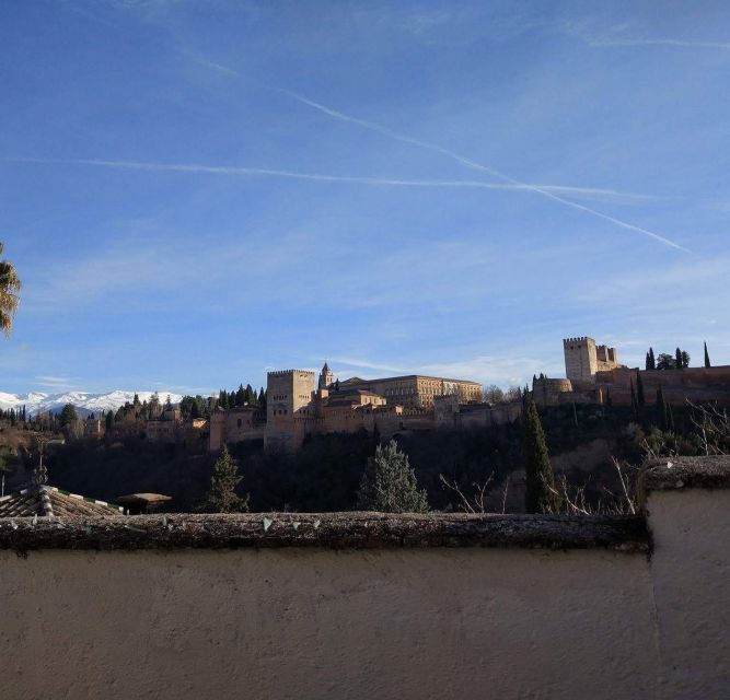 From Seville: Private Day Trip to Ronda and Granada - Common questions