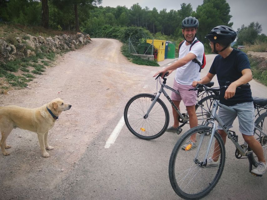 From Sitges: Cycling Tour With Winery Visit and Tasting - Tour Itinerary