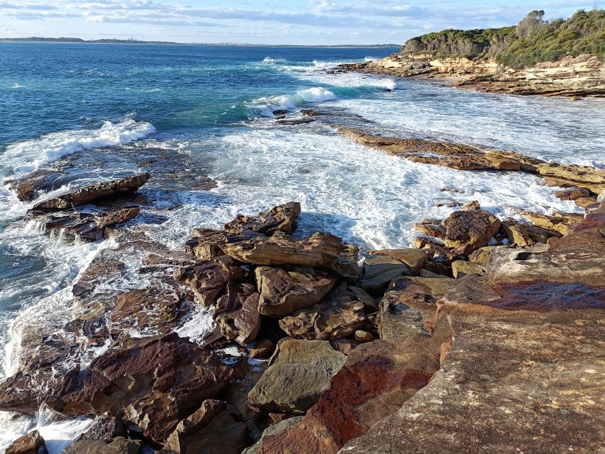 From Sydney: Sea Cliff Bridge, Beaches, and Farmlands Tour - Common questions