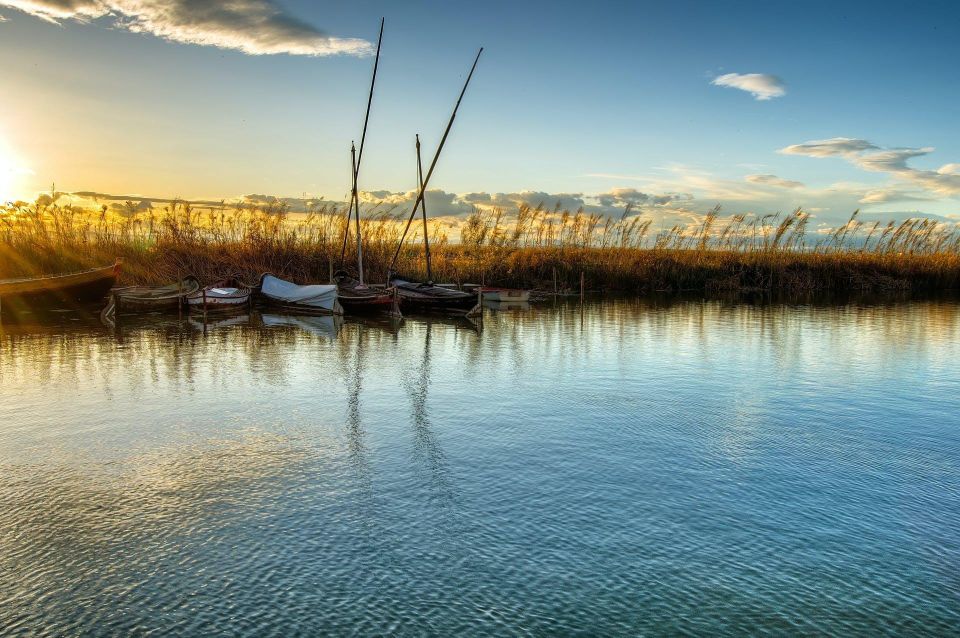 From Valencia: Albufera Natural Park With Sunset Experience - Sunset Odyssey Experience