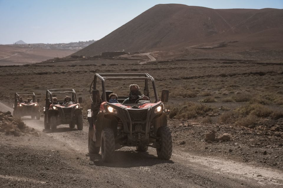 Fuerteventura: Dune Buggy Tour in Northern Fuerteventura - Common questions