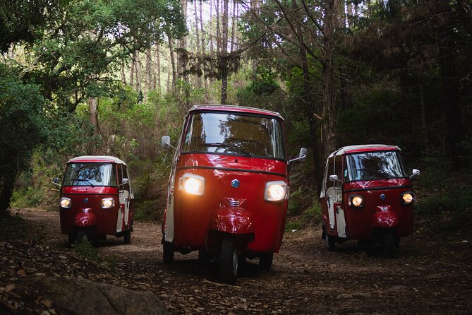 Full Day Private Tuk-Tuk Tour in Sintra - Last Words