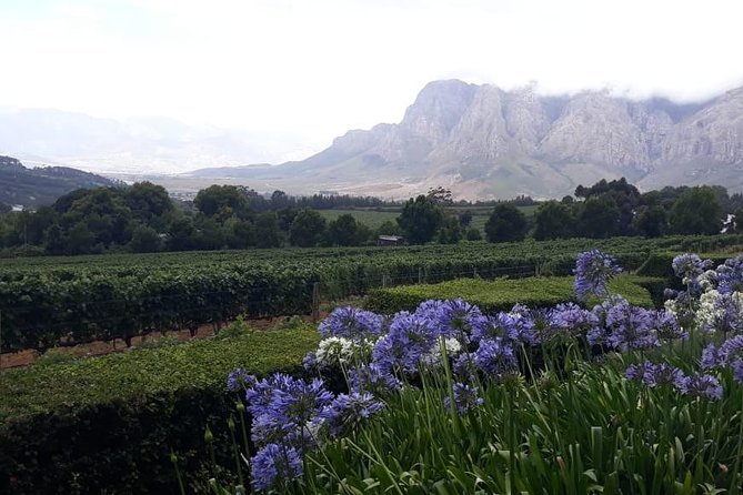 Full Day Wine Tasting in Stellenbosch, Franschoek & Paarl Fees Included - Common questions