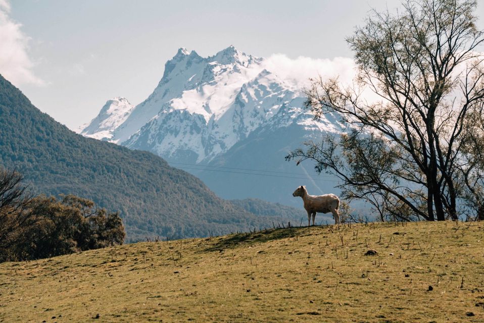 Glenorchy Half-Day 4WD Lord Of the Rings Tour - Departure Details