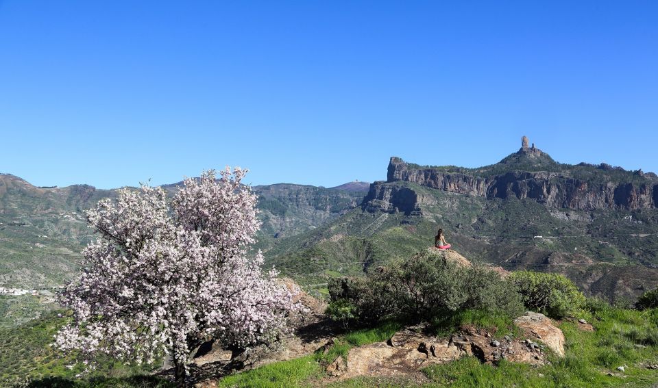 Gran Canaria Highlights Full-Day Tour by Bus - Last Words