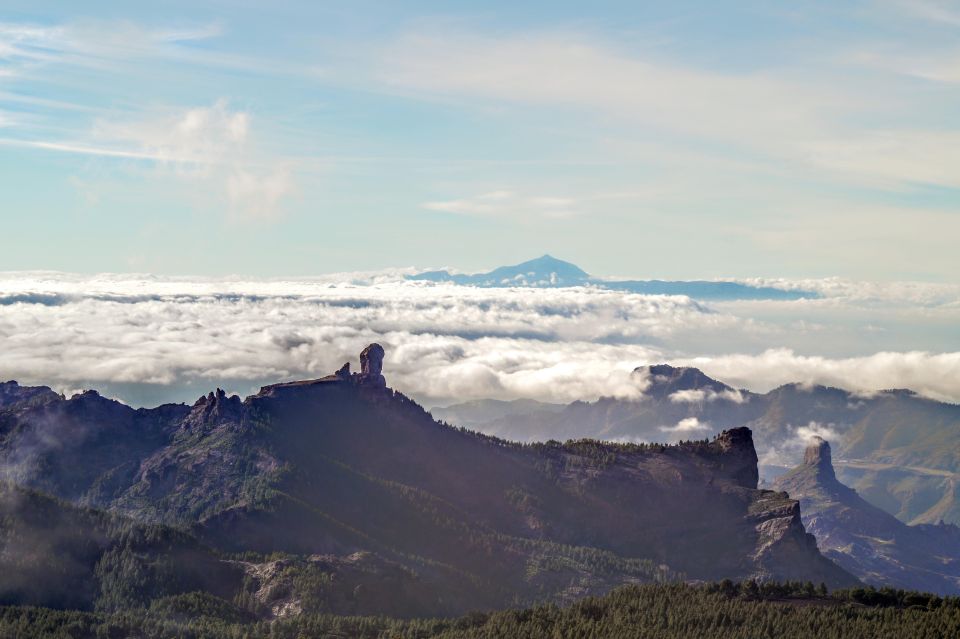 Gran Canaria: Highlights Tour, Hike in the Lauer Forest - Common questions