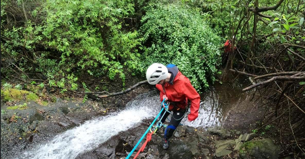 Gran Canaria: Rainforest Canyoning Tour With Gear and Snack - Common questions