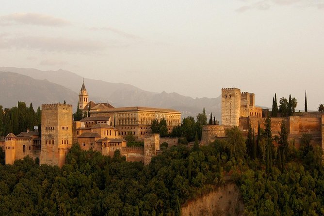 Granada: Historic Center Private Walking Tour - Contact and Support