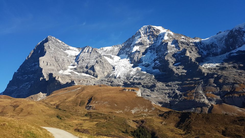 Grindelwald-Scheidegg-Lauterbrunnen Small Group Tour - Common questions