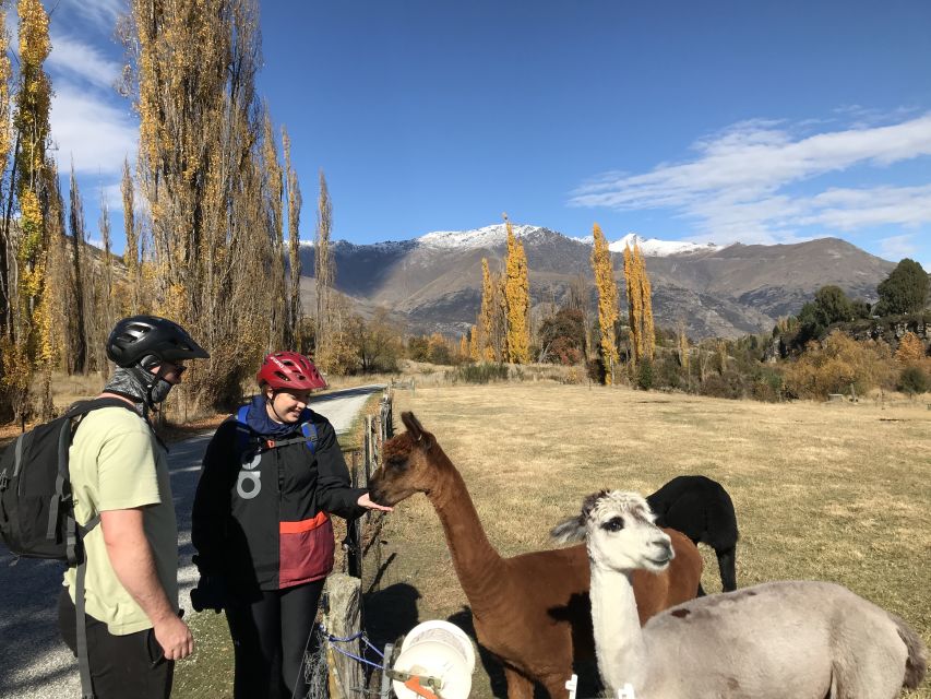 Guided E-Bike Wine Tour Ride to the Vines - How to Book