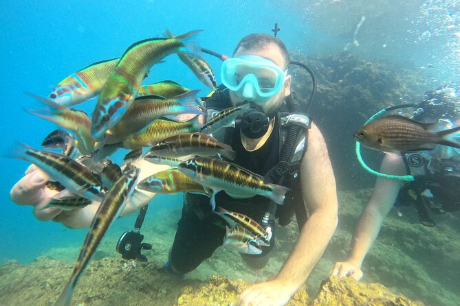 Half Day Scuba Diving @ Duden Waterfalls - Meeting Point and Activity Duration